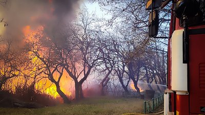 У місті Виноградів на Закарпатті горіло 15 гектарів сухостою У місті Виноградів на Закарпатті горіло 15 гектарів сухостою