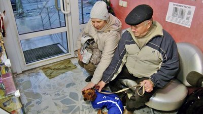 Вперше стриг єнота: ветеринар з Херсона лікує та допомагає тваринам у Луцьку Вперше стриг єнота: ветеринар з Херсона лікує та допомагає тваринам у Луцьку