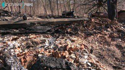 "Я впала на коліна і кричала: за що?": у Рівному спалили собаче поселення "Я впала на коліна і кричала: за що?": у Рівному спалили собаче поселення