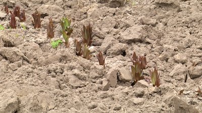 На Житомирщині у палаючому підвалі гаражу 40 хвилин перебували діти, які сховалися від авіаударів На Житомирщині у палаючому підвалі гаражу 40 хвилин перебували діти, які сховалися від авіаударів