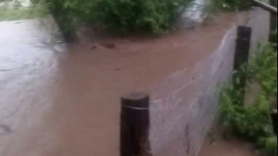 Підтоплене село Пановичі Підгаєцької міської громади Підтоплене село Пановичі Підгаєцької міської громади