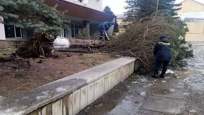 На Львівщині два дні штормитиме: синоптики попереджають про сильні пориви вітру На Львівщині два дні штормитиме: синоптики попереджають про сильні пориви вітру