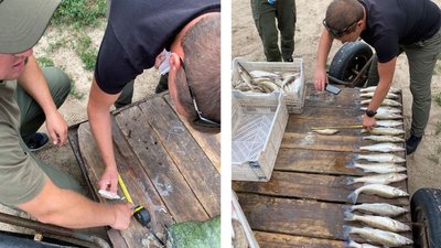 На Черкащині браконьєр виловив риби на понад 300 тисяч гривень