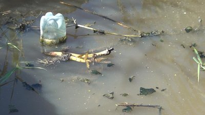 Вміст хімічних речовин у воді в районі Куяльницького лиману перевищує норму в п’ять разів Вміст хімічних речовин у воді в районі Куяльницького лиману перевищує норму в п’ять разів