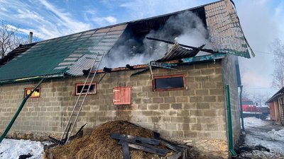 Пожежа у селі Кривчики