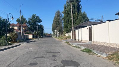 Амброзія: у херсонських ОСББ розповіли про методи боротьби з алергенною рослиною Амброзія: у херсонських ОСББ розповіли про методи боротьби з алергенною рослиною