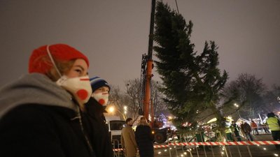 У Львові розпочали встановлювати головну ялинку міста