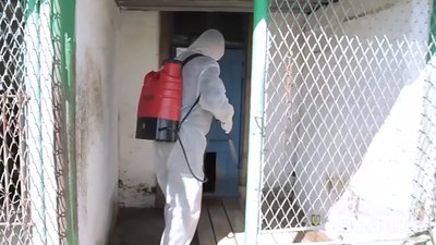 Вольєри, майданчики для вигулу дезінфікують у кінологічному центрі полтавської поліції