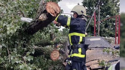 Прибрали дерева з проїжджої частини та автівки: на Дніпропетровщині рятувальники ліквідовували наслідки негоди Прибрали дерева з проїжджої частини та автівки: на Дніпропетровщині рятувальники ліквідовували наслідки негоди