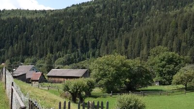 Село Яблуниця на Буковині