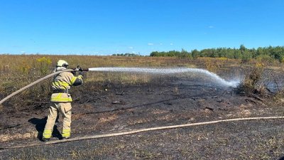 За добу на Волині загасили 7 пожеж в екосистемах За добу на Волині загасили 7 пожеж в екосистемах