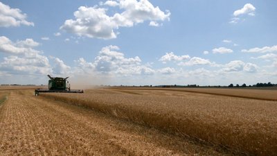 Аграрії Чернігівської області зібрали 1,3 мільйона тонн зернових і зернобобових культур
