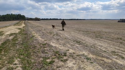 Безпека на кордоні. Як за допомогою тепловізійних комплексів знаходять порушників Безпека на кордоні. Як за допомогою тепловізійних комплексів знаходять порушників
