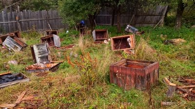В Ілемнянському лісництві на Івано-Франківщині ведмідь зруйнував пасіку В Ілемнянському лісництві на Івано-Франківщині ведмідь зруйнував пасіку