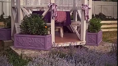 Лавандова локація у Старому Кривині. Лавандова локація у Старому Кривині.