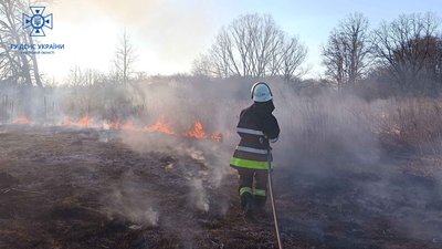 Протягом доби на Київщині ліквідовували понад 40 пожеж на природі. Хто винен у підпалах