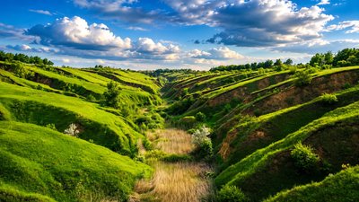 Сажівка, Дніпро, природа, довкілля