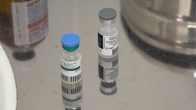 вакцина проти кору вакцина проти кору