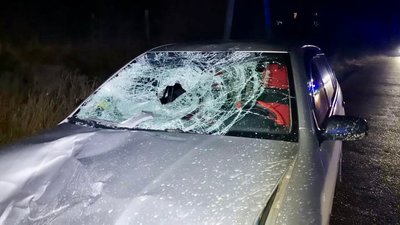 На Закарпатті затримали п'яного водія, який спричинив смертельне ДТП На Закарпатті затримали п'яного водія, який спричинив смертельне ДТП