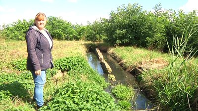 Майже рік не працюють очисні споруди у селищі на Житомирщині Майже рік не працюють очисні споруди у селищі на Житомирщині