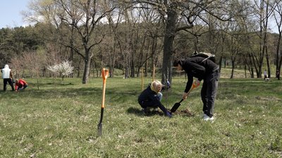 Вперше після повномасштабного вторгнення РФ: в парку Ялівщина у Чернігові провели колективну толоку Вперше після повномасштабного вторгнення РФ: в парку Ялівщина у Чернігові провели колективну толоку
