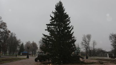 Заввишки 16 метрів: у Новгороді-Сіверському встановлюють головну ялинку громади Заввишки 16 метрів: у Новгороді-Сіверському встановлюють головну ялинку громади