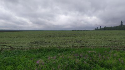 Війська РФ тимчасово контролюють близько 22% сільгоспугідь України — NASA