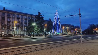 Святкові, випадкові. Ялинки з Донеччини напередодні 2025 року: фотодобірка
