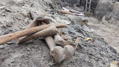 Виявили понад сотню поховань: у центрі Черкас розкопують цвинтар 17-18 століття Виявили понад сотню поховань: у центрі Черкас розкопують цвинтар 17-18 століття