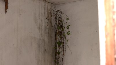 На Рівненщині чоловікові-сироті виділили хату з дірами у стінах На Рівненщині чоловікові-сироті виділили хату з дірами у стінах