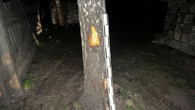 На Тернопільщині, судитимуть водія, водій мотоцикла, у стані сп’яніння, вчинив ДТП