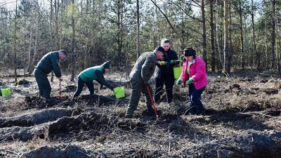 Переселенці на Волині разом з лісівниками засадили понад два гектари лісу