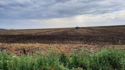 370 людей очікують на розпаювання земель “Племрепродуктора "Степове", що на Миколаївщині 370 людей очікують на розпаювання земель “Племрепродуктора "Степове", що на Миколаївщині