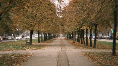 Осіння алея у Миколаєві