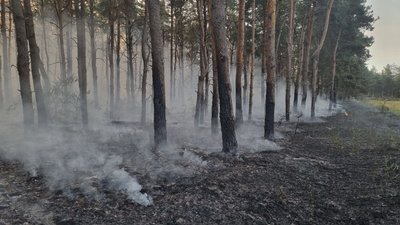 За минулу добу на Миколаївщині сталося 11 пожеж За минулу добу на Миколаївщині сталося 11 пожеж