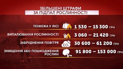 Штрафи за підпал рослинності Штрафи за підпал рослинності