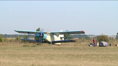 На Вінниччині провели імунізацію тварин проти сказу