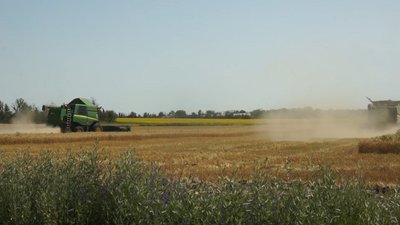 На два тижні пізніше. Аграрії розпочали на Донеччині збір озимої пшениці На два тижні пізніше. Аграрії розпочали на Донеччині збір озимої пшениці