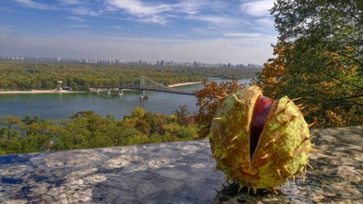 У Києві за 2022 рік зафіксовано 15 температурних рекордів