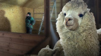 Як в екопарку у Ковалівці утримують екзотичних тварин під час морозів