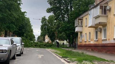 Через буревій у Чернігові впали дерева: пошкоджені автомобілі, травмованих немає