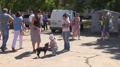 У Миколаєві стартувала виставка "Щастя не має породи"