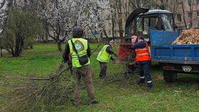 Повалені дерева у Харкові