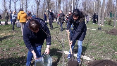 У Кропивницькому посадили дуби на честь мiст-героїв