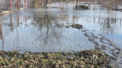 "Вода підійшла мало не до хати". У жителів Басів у Сумах підтоплені двори "Вода підійшла мало не до хати". У жителів Басів у Сумах підтоплені двори