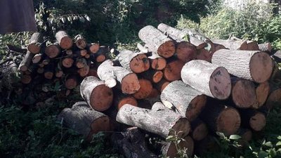 Закуповують дрова, овочі та допомагають робити консервацію. Сумський центр "Берегиня" готує своїх підопічних до зими Закуповують дрова, овочі та допомагають робити консервацію. Сумський центр "Берегиня" готує своїх підопічних до зими