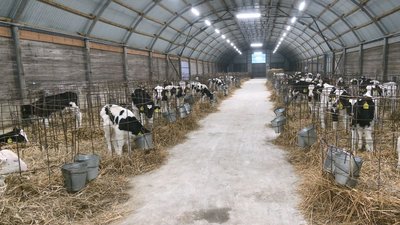 Без вихідних і на генераторі: як працює ферма на Черкащині в умовах відключень світла Без вихідних і на генераторі: як працює ферма на Черкащині в умовах відключень світла