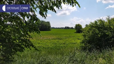 Мешканці села під Сумами скаржаться на місцевого фермера