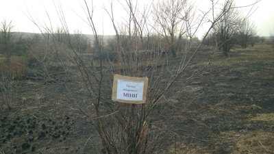 Російські війська замінували ділянки Савинської громади на Харківщині: фото Російські війська замінували ділянки Савинської громади на Харківщині: фото