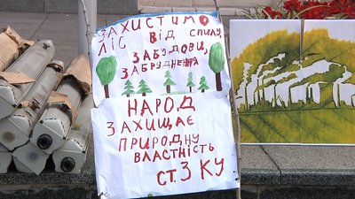 В Запоріжжі протестують проти вирубки лісу